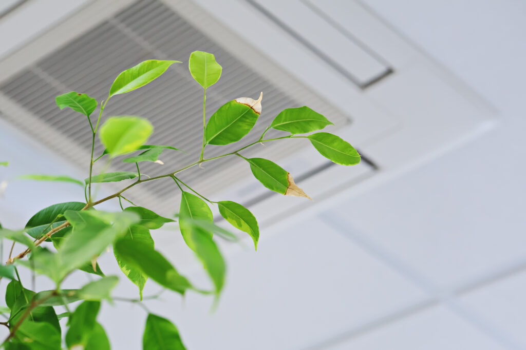 indoor air quality services improving clean air in a modern home